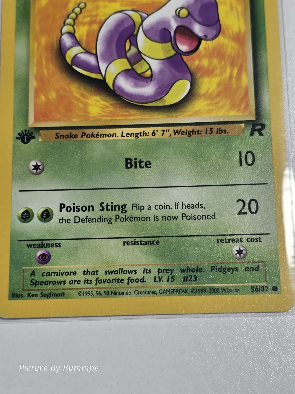#13 Pokemon 1st Edition Ekans card from the 2000 Team Rocket expansion, #56/82.